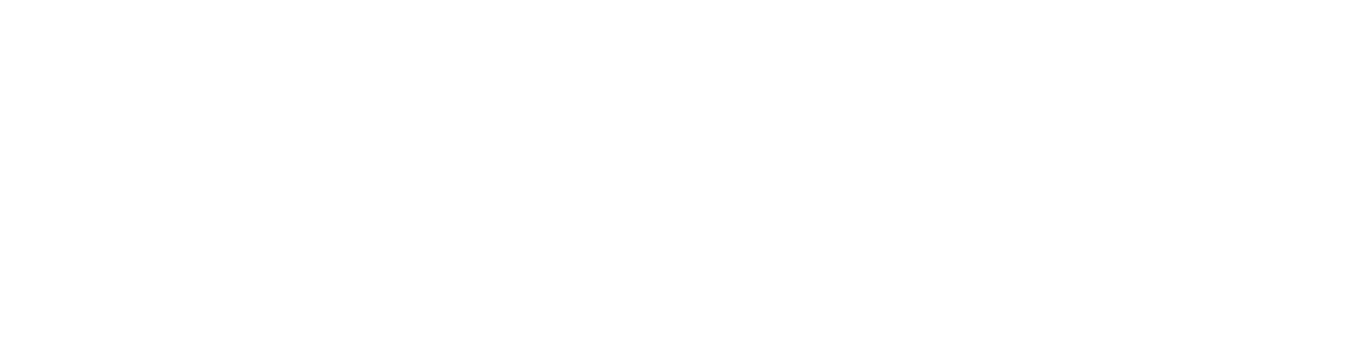 CONNEXION