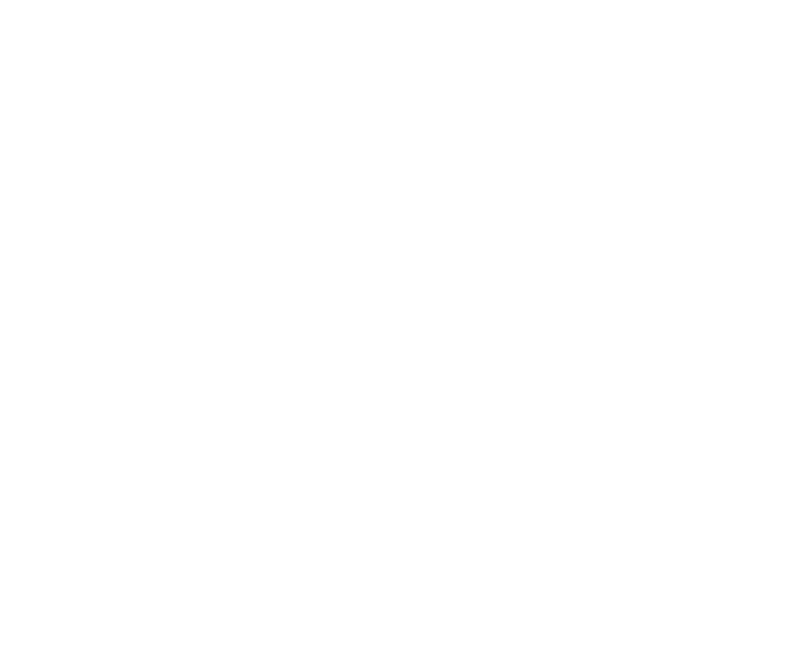 Bluestar Alkaid