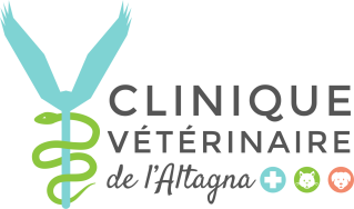 Clinique vétérinaire de l'Altagna | Ajaccio (Salines) Clinique vétérinaire de l'Altagna | Ajaccio (Salines)