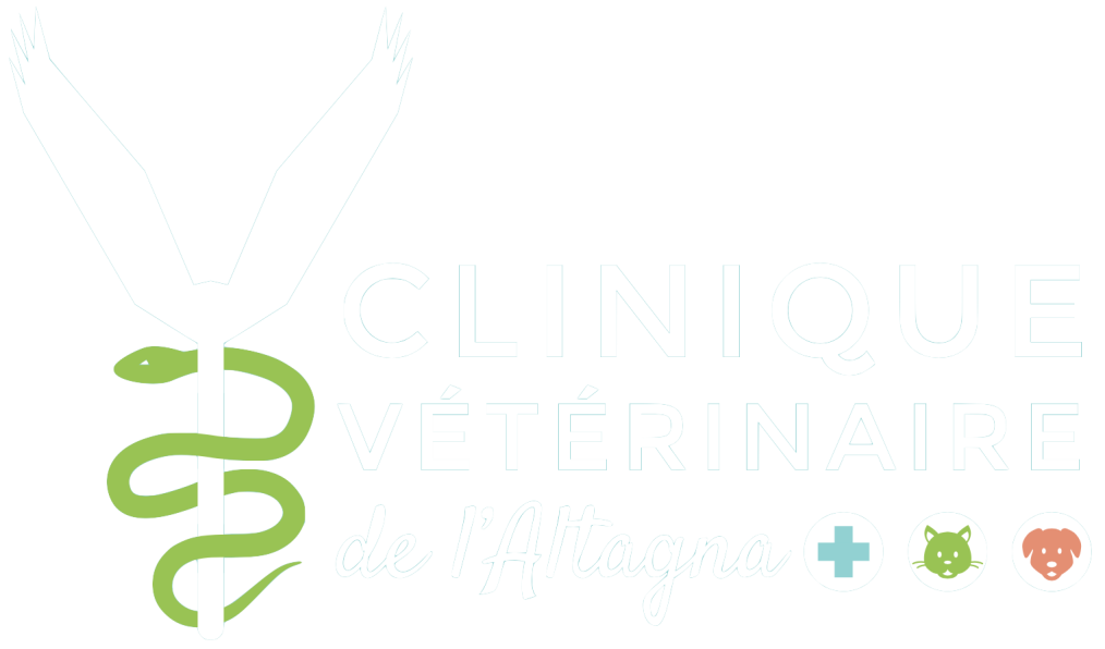 Clinique de l'Altagna