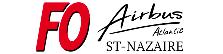 Airbus veut copier les oiseaux migrateurs pour lutter contre le CO2 Airbus veut copier les oiseaux migrateurs pour lutter contre le CO2