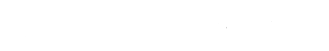 BLOCK ISLAND APP