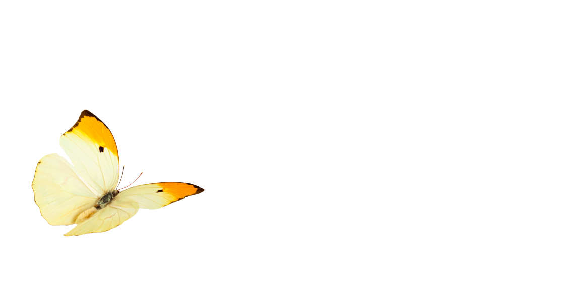 L'alternativa all'Hotel Valeggio sul Mincio: Il Bozzolo L'alternativa all'Hotel Valeggio sul Mincio: Il Bozzolo