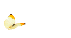 iL BOZZOLO