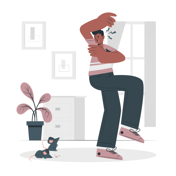 😨 Excluded 😨 Excluded