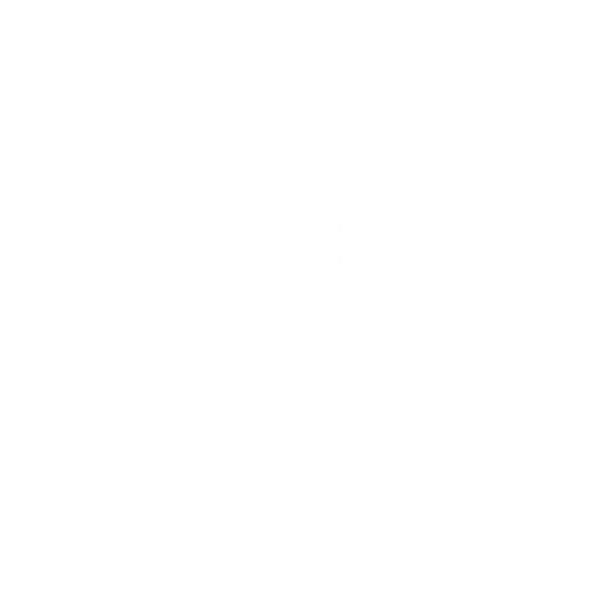 NUESTROS VALORES NUESTROS VALORES