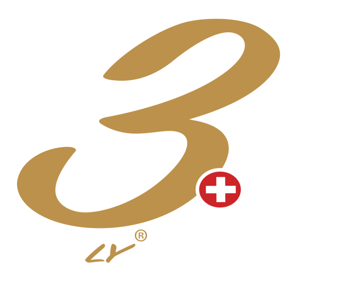 3 Lacs Yacht Linssen Charter Schweiz 3 Lacs Yacht Linssen Charter Schweiz