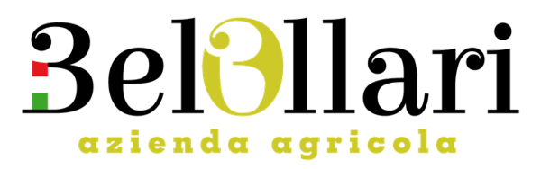 Acquista Olive Taggiasche Belollari Acquista Olive Taggiasche Belollari