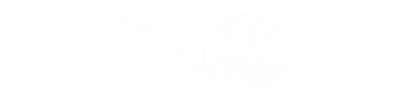 Heavenly Vision C C Heavenly Vision C C