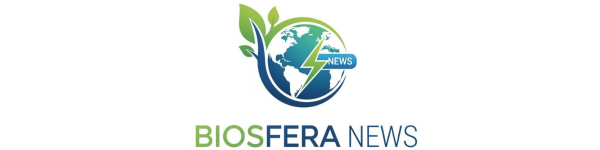 Cuidado! 3 signos que são facilmente enganados nas redes sociais Cuidado! 3 signos que são facilmente enganados nas redes sociais