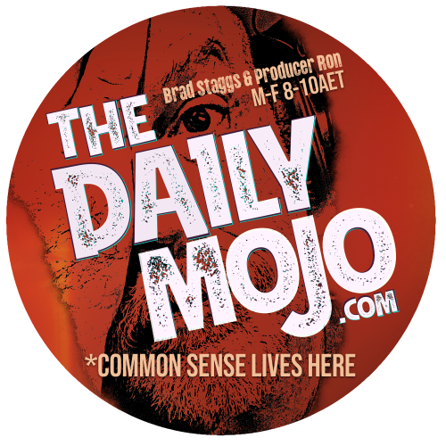 The Daily MoJo Webapp The Daily MoJo Webapp