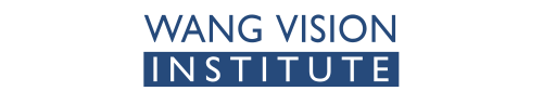 Wang Vision Wang Vision