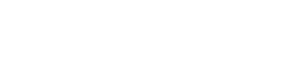 GR PARTNERS GR PARTNERS