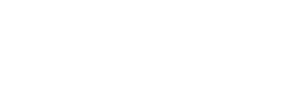 Alina Fundraising Alina Fundraising