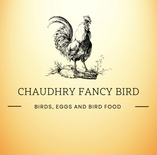 SkyGold Gourmet Food Mix premium seed designed for canary, Finches & Budgies SkyGold Gourmet Food Mix premium seed designed for canary, Finches & Budgies