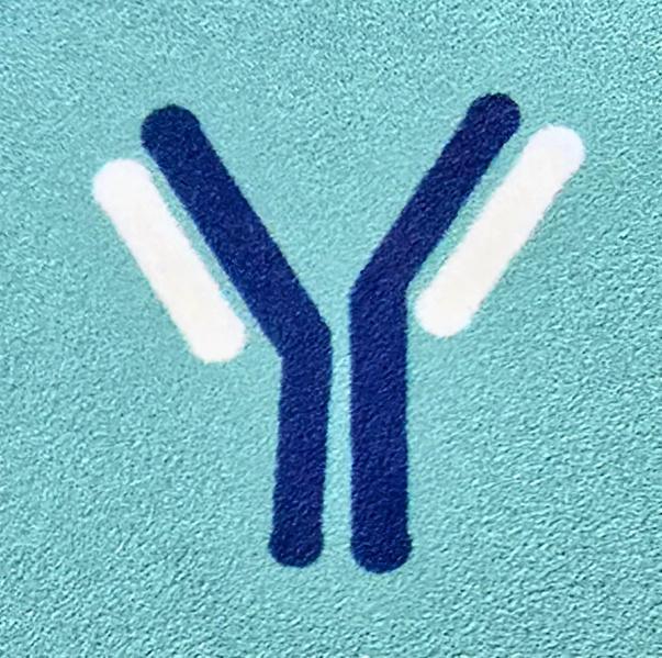 33-Doctor Dra. Ana Maria 33-Doctor Dra. Ana Maria