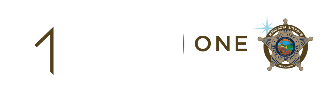 National Alliance on Mental Illness (NAMI) National Alliance on Mental Illness (NAMI)