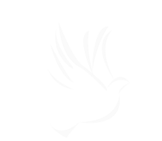 Centro de Adoración Nueva Canaan Centro de Adoración Nueva Canaan