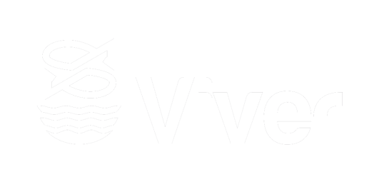 Vive Viver. Tourism website Vive Viver. Tourism website