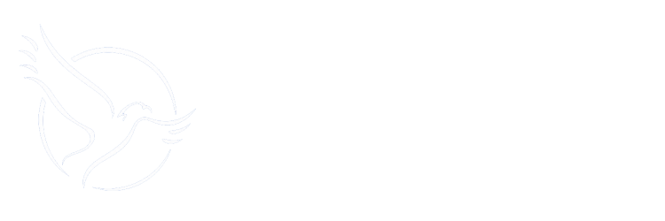 IC Vida En Jesús IC Vida En Jesús