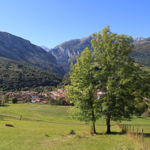 Hotel Apartamentos El Coterín Cabrales Asturias Página oficial