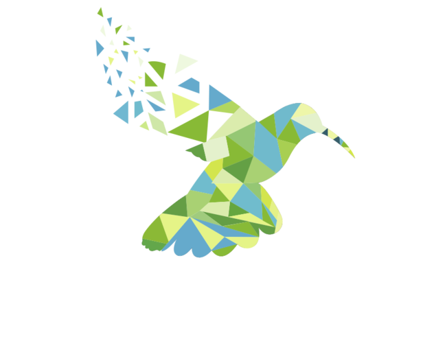 Paleroo