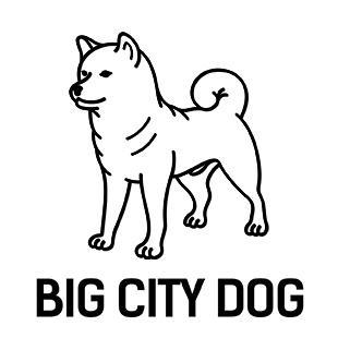 Big City Dog