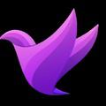 Flying App