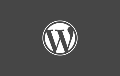 illustration for WordPress Plugin