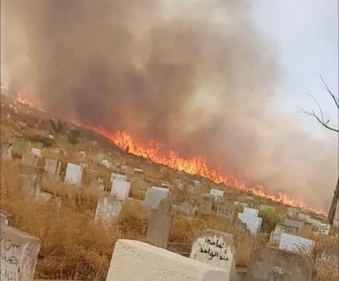 هل سيتم فتح تحقيق؟..حريق في “ويسلان” يفجر أوضاع إهمال صادمة للمقابر بفاس