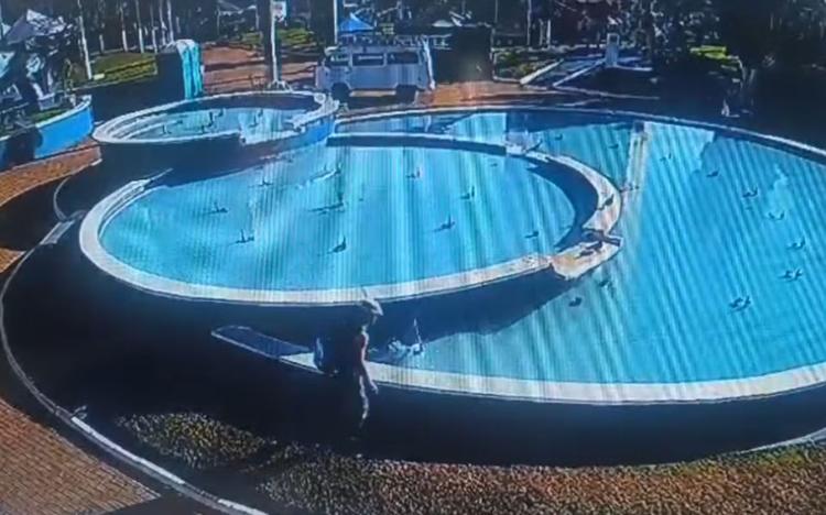 Homem arremessa cachorra filhote dentro de fonte de água em praça no interior de SP; vídeo