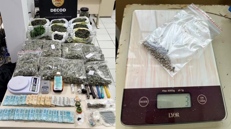 Homem autorizado a cultivar cannabis para uso medicinal é preso com estoque de 'supermaconha' em SC