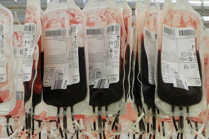 Sangue e plasma, pronto il Programma nazionale 2026: alle Regioni 6 milioni