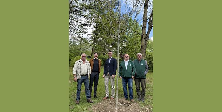  Baum des Jahres im Opel Zoo