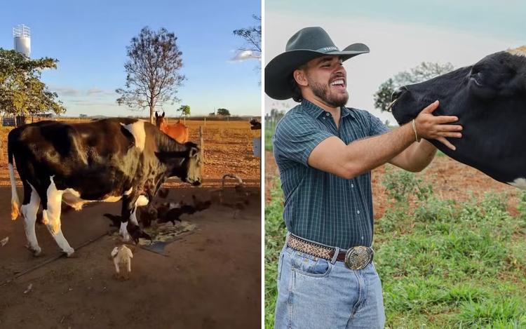 Fazendeiro que viralizou ao mostrar a vida com mini animais já criava um boi de tamanho normal ainda morando na cidade