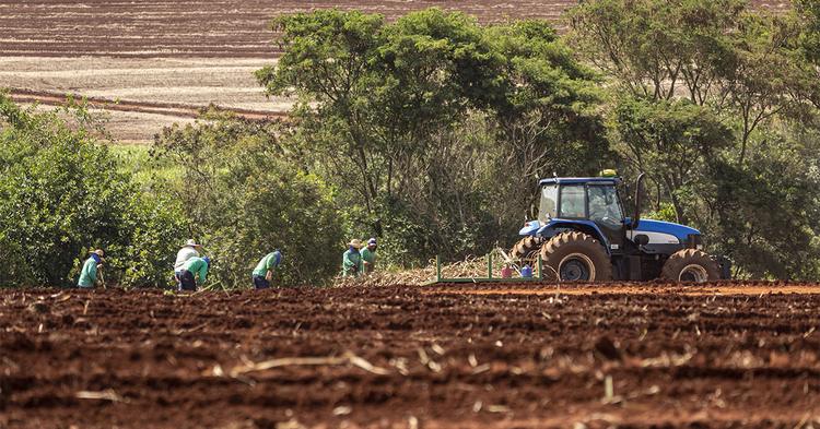 CMN muda regras do crédito rural e do Proagro às vésperas do Plano Safra 2026/27