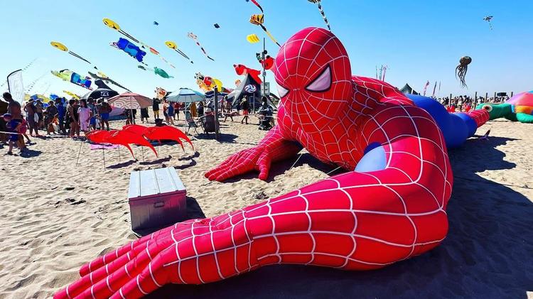 Hérault : un Festival du vent les pieds dans le sable