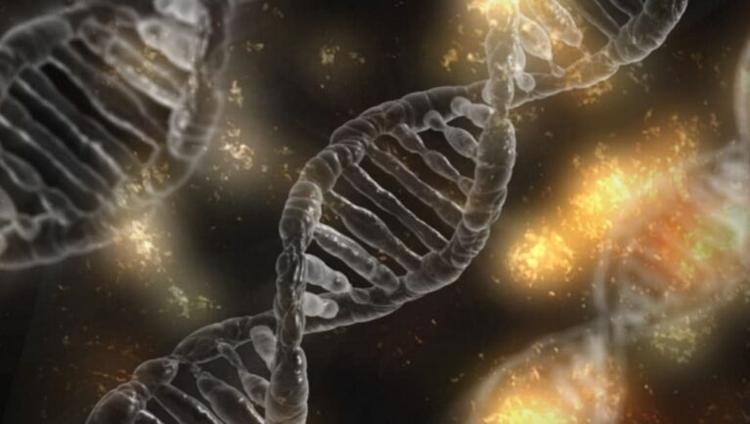 Plant DNA Repair Discovery Could Help Future Crops