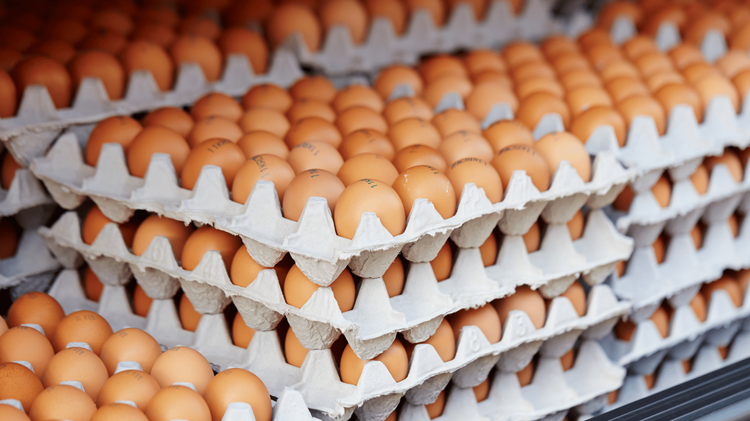 Mississippi agriculture department launches free eggs for a year giveaway