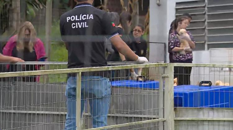 Saiba o que vai acontecer com os mais de 200 animais resgatados de canil interditado no RS