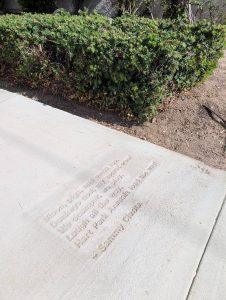 The 2026 Sidewalk Poems Have Been Installed!
