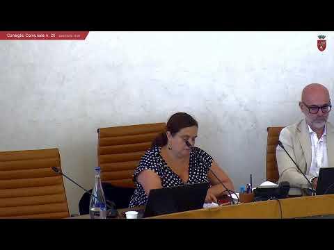 Consiglio Comunale n. 28