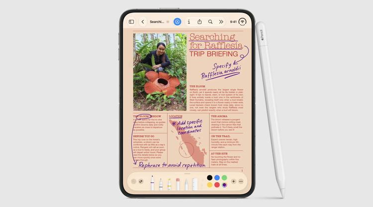 iPhone Duo apple pencil