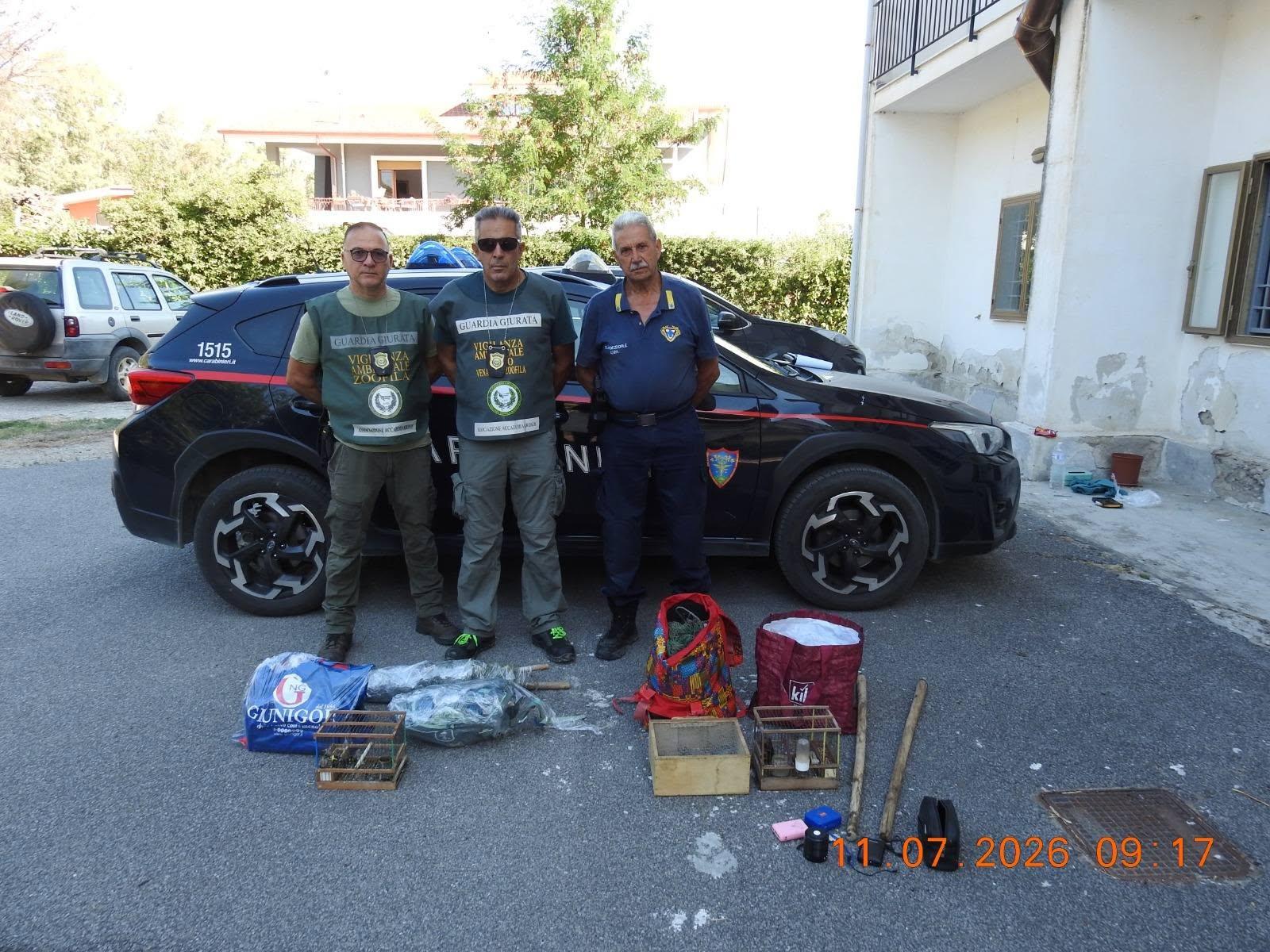 Bracconaggio a Capaccio Paestum, scoperto sito illegale di cattura: due denunce e volatili feriti sequestrati
