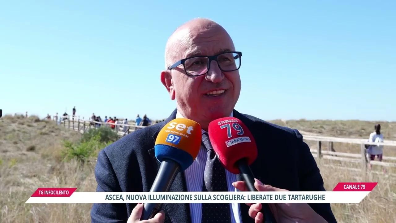 Ascea,&nbsp;nuova luce sulla Scogliera per proteggere la Caretta caretta