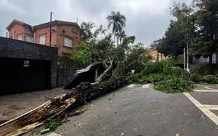 Inmet emite alerta para vendavais com rajadas de até 100 km/h em São Paulo e no Rio