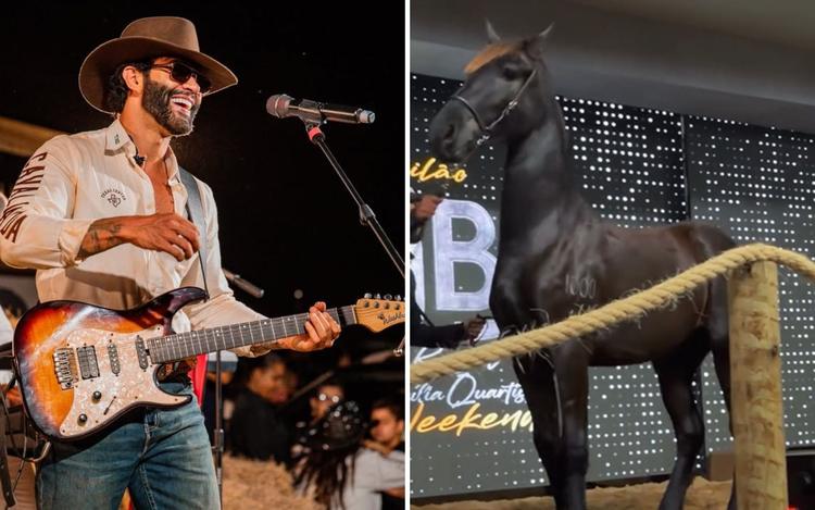 Gusttavo Lima vende cavalo por mais de R$ 1,1 milhão em leilão de luxo e anuncia doação do dinheiro para hospital do câncer de Goiás