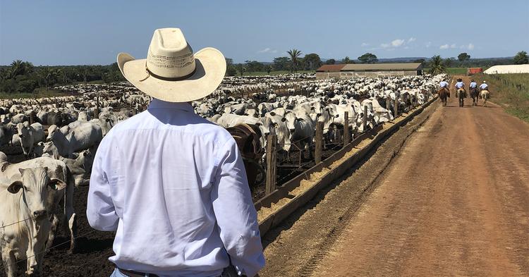 Cooperativismo representa 18,2% do PIB de Mato Grosso do Sul e reforça protagonismo na economia estadual