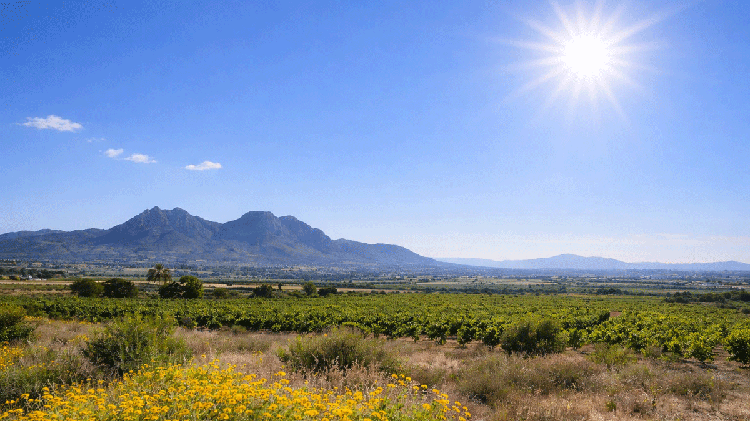#Comarca: Fin de semana estable y soleado en el Vinalopó, con temperaturas agradables