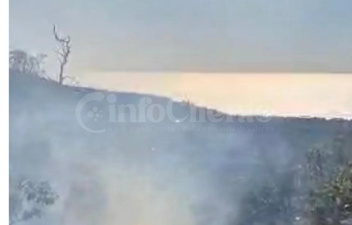 Incendio tra Agropoli e Castellabate: in fumo la macchia mediterranea del Cilento